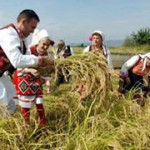 Некои состојби, можности и перспективи на земјоделството во Р. Македонија