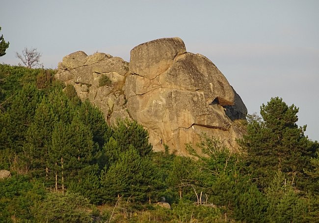 Огромна камена громада висока 20 m во вид на животно