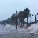 Харви и Ирма - најразорни урагани кои ја погодија Америка во последниот век!