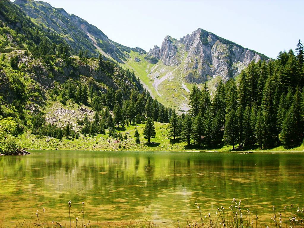 Копаоник – најубавата планина во Србија!