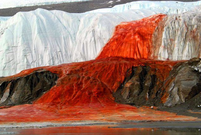 Мистериозниот „крвав“ водопад на Антарктикот